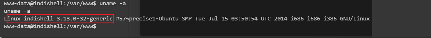 image-20240729202147728