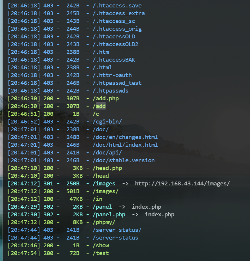 image-20240729204851861