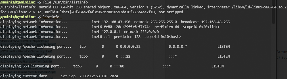 image-20240907151312661